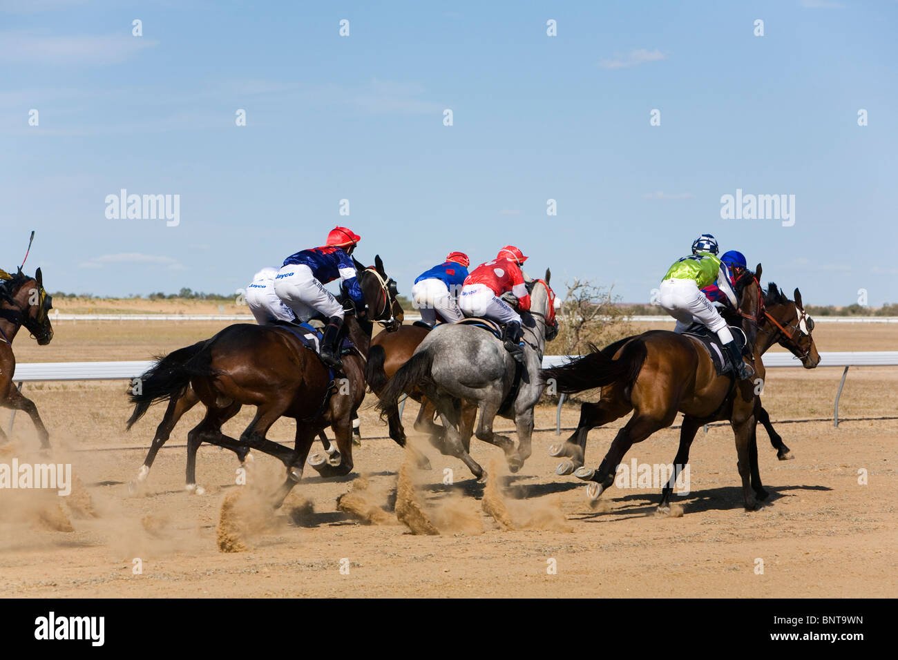 Carreras de caballos en el outback en las carreras de la Copa Birdsville. Foto de stock