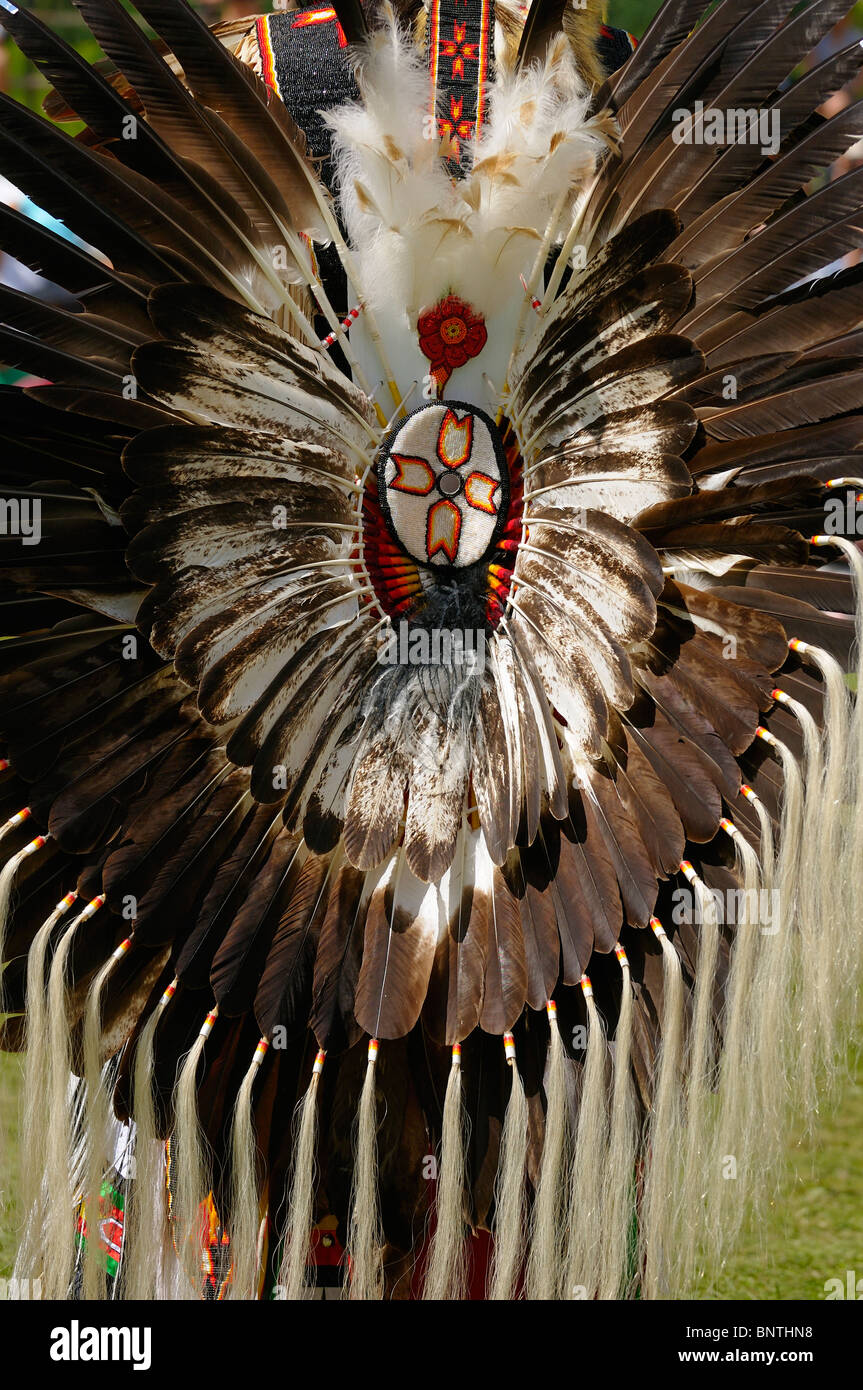 Bullicio de plumas de águila sobre un anciano indígena que asisten a seis Naciones Pow Wow reserva Grand River en Ontario, Canadá Foto de stock