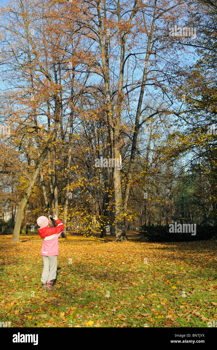 Publicado modelo Foto de Chica tomar fotos de otoño y las hojas de los árboles Foto de stock