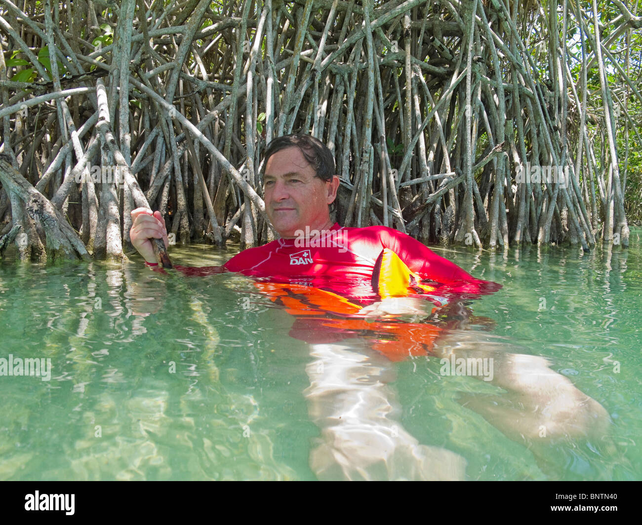El hombre inspecciona plantas de manglar en canal en reserva biosfera Sian Ka'an en la Riviera Maya. Foto de stock