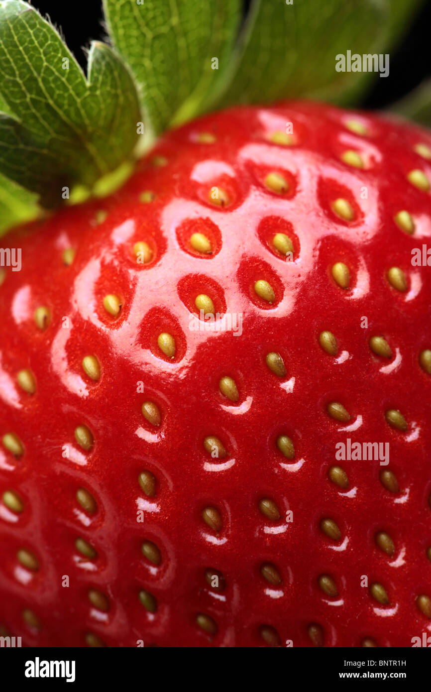 Detalle de cerca de una fresa roja fresca con hojas Foto de stock