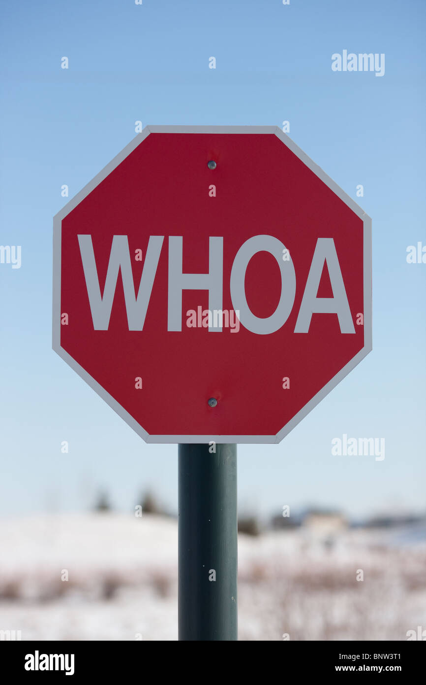 Señal de Stop con la palabra WHOA sobre ella Foto de stock