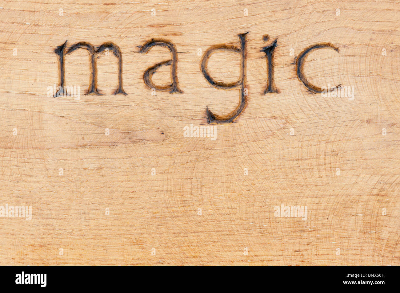 Banco de jardín de madera tallada con la palabra 'Magic' en RHS Harlow Carr Foto de stock