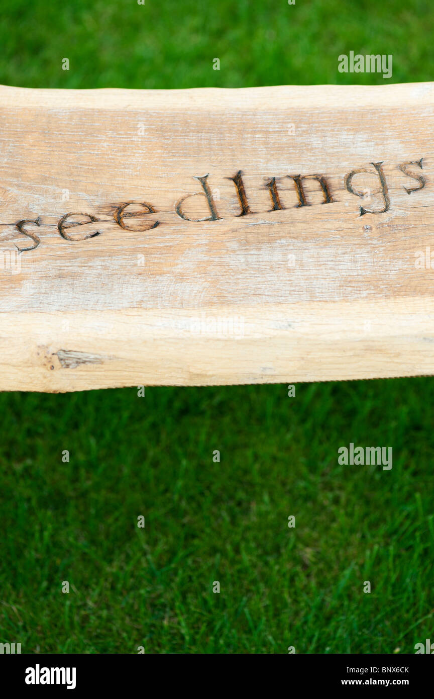Banco de jardín de madera tallada con la palabra 'seedlings' en RHS Harlow Carr Foto de stock