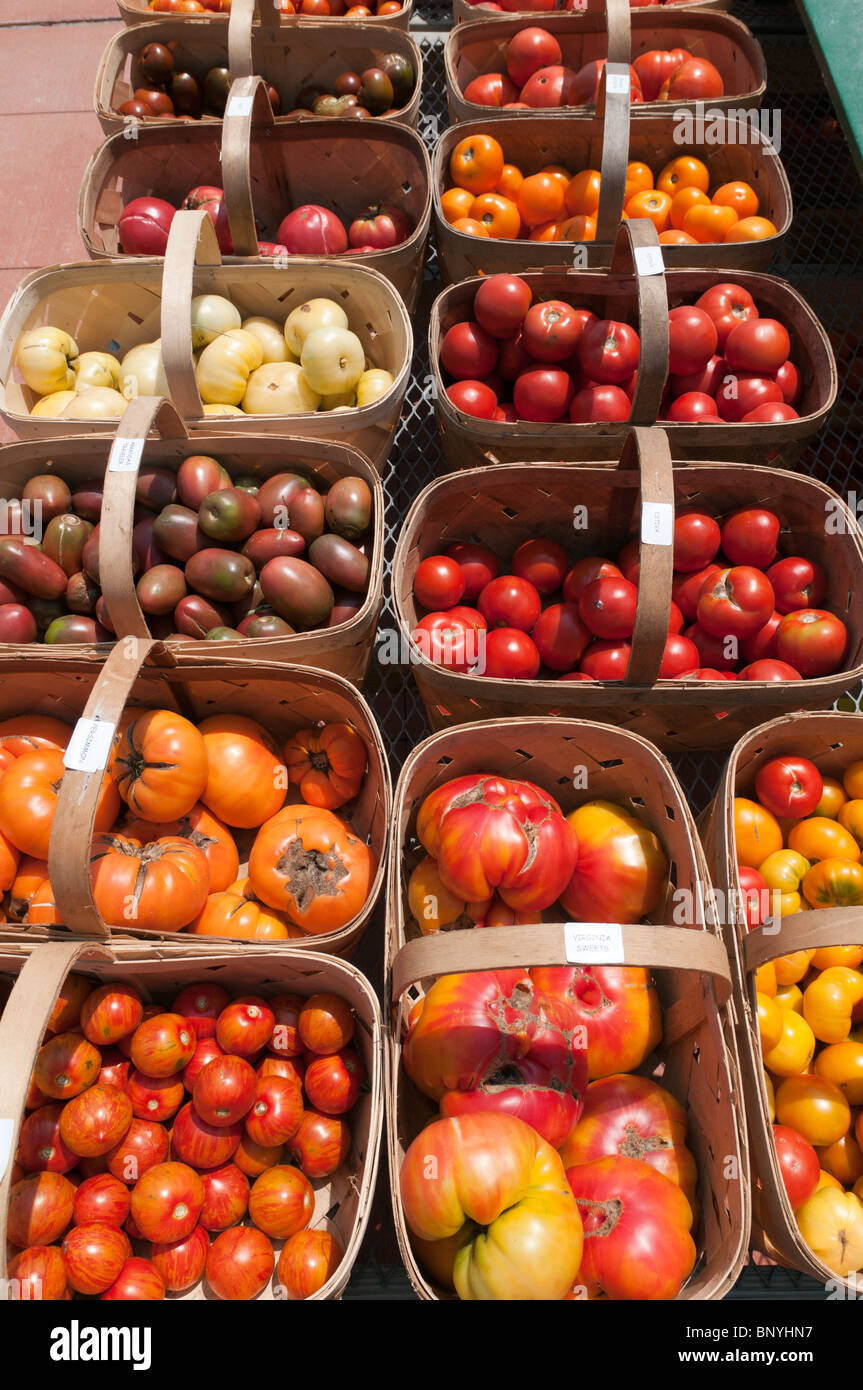 Reliquia de tomates para la venta en un stand de granja en Concord, MA, EE.UU. Foto de stock