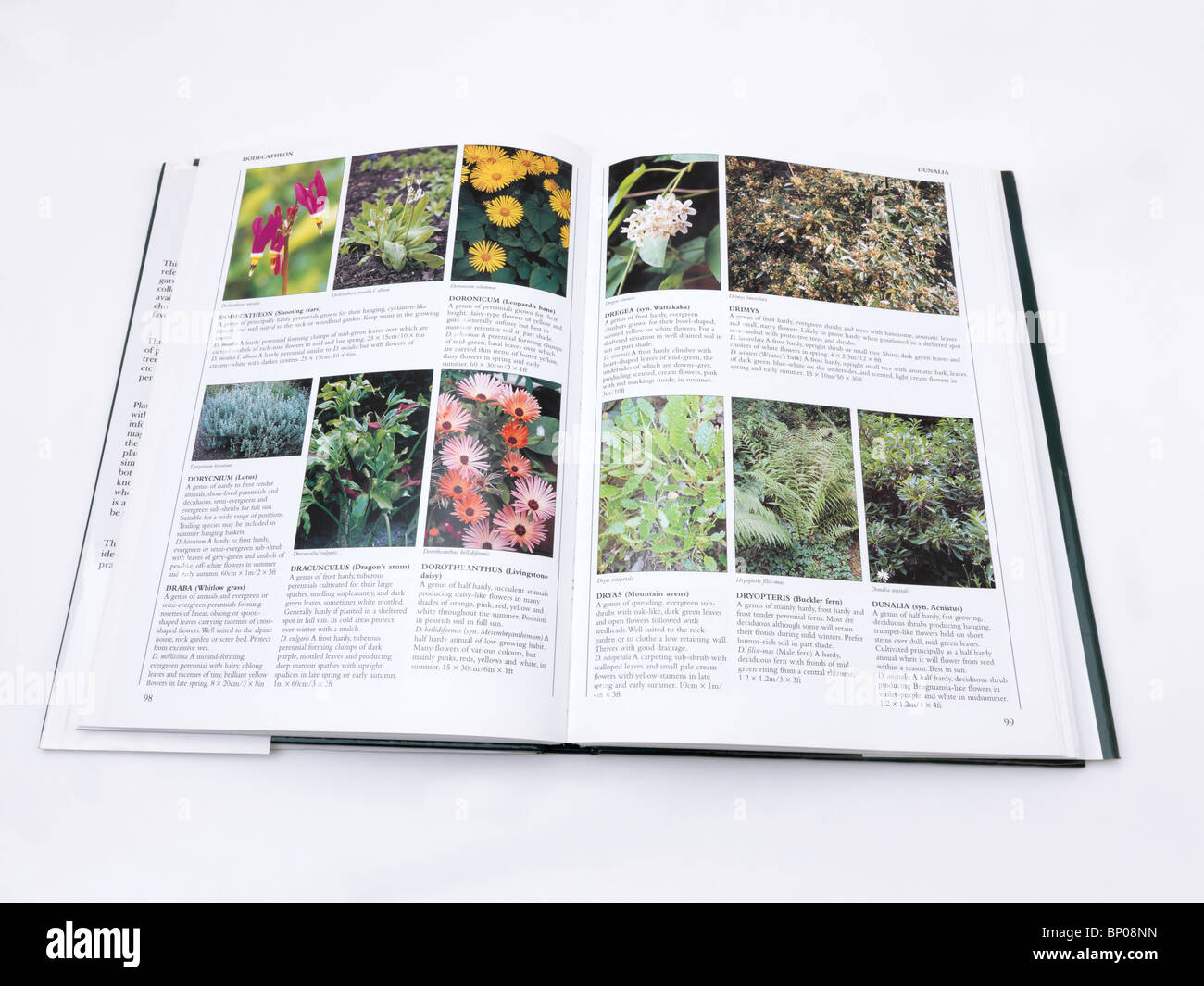 Un libro sobre plantas y flores. Foto de stock