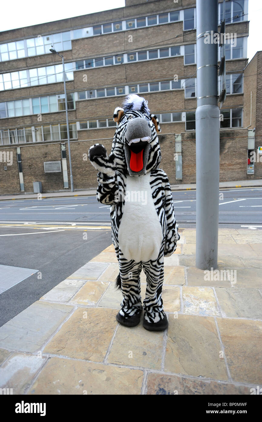 Zebra costume fotografías e imágenes de alta resolución - Alamy