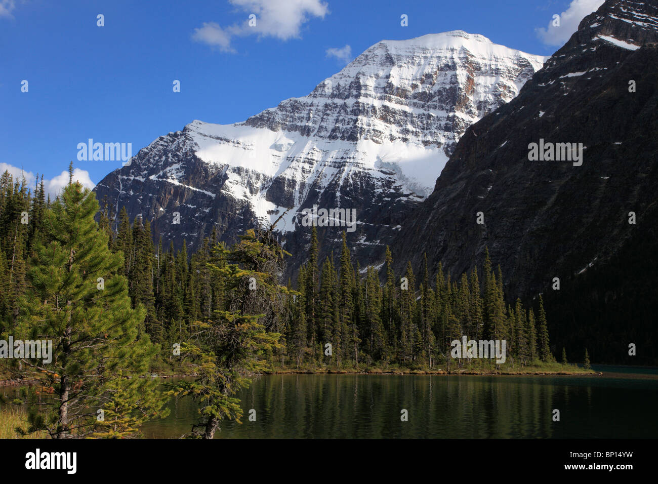 Canadá, Alberta, el Parque Nacional de Jasper, el Monte Edith Cavell, Cavell Lake Foto de stock