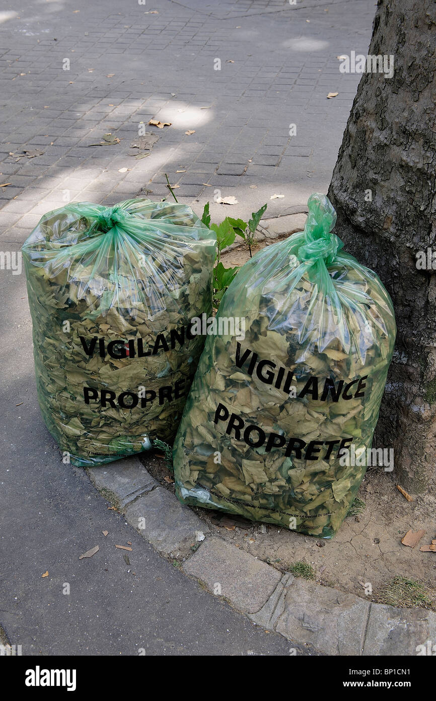 Bolsas de hojas fotografías e imágenes de alta resolución - Alamy