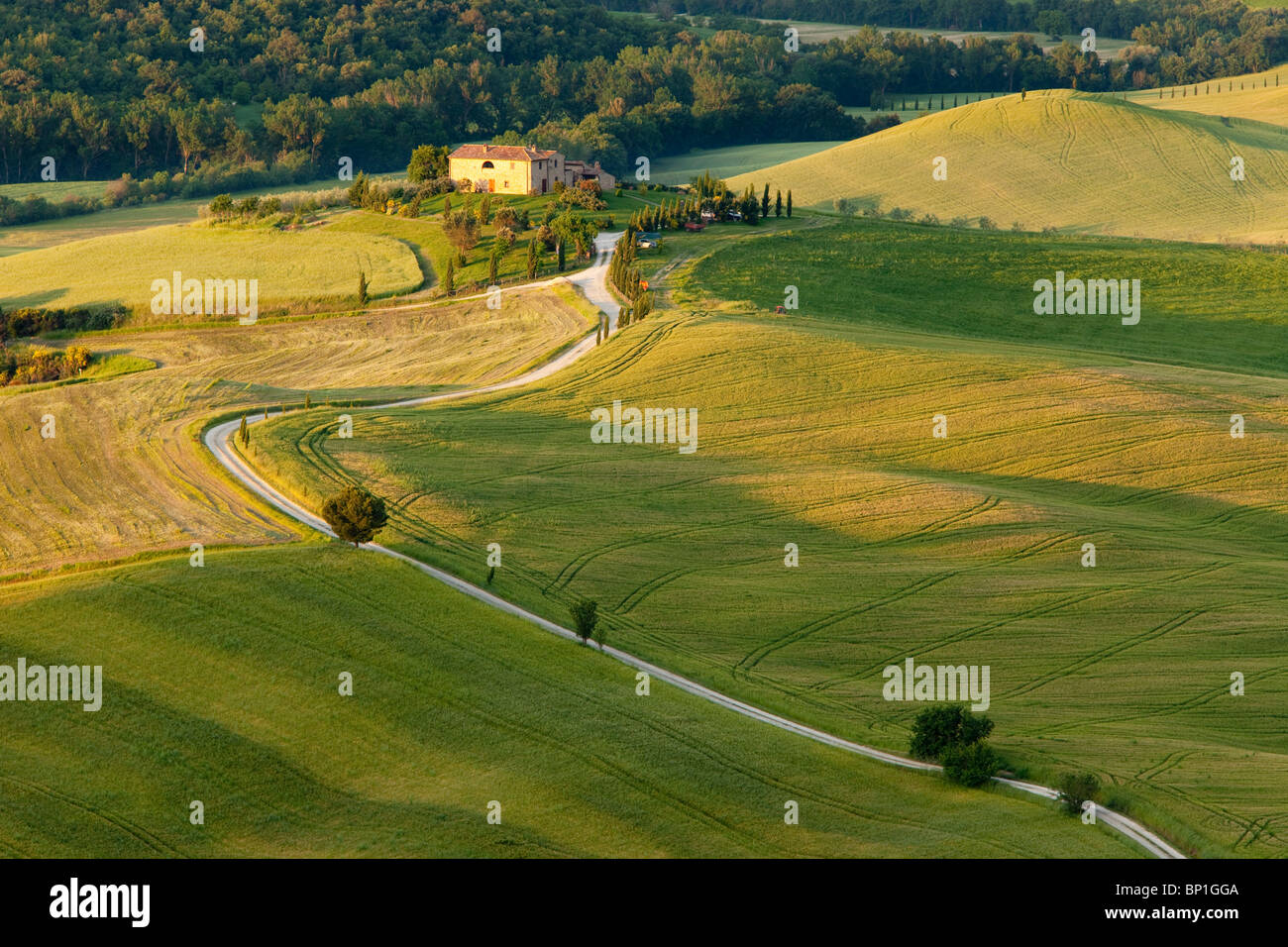 País por carretera que conduce a villa toscana cerca de Pienza, Toscana Italia Foto de stock