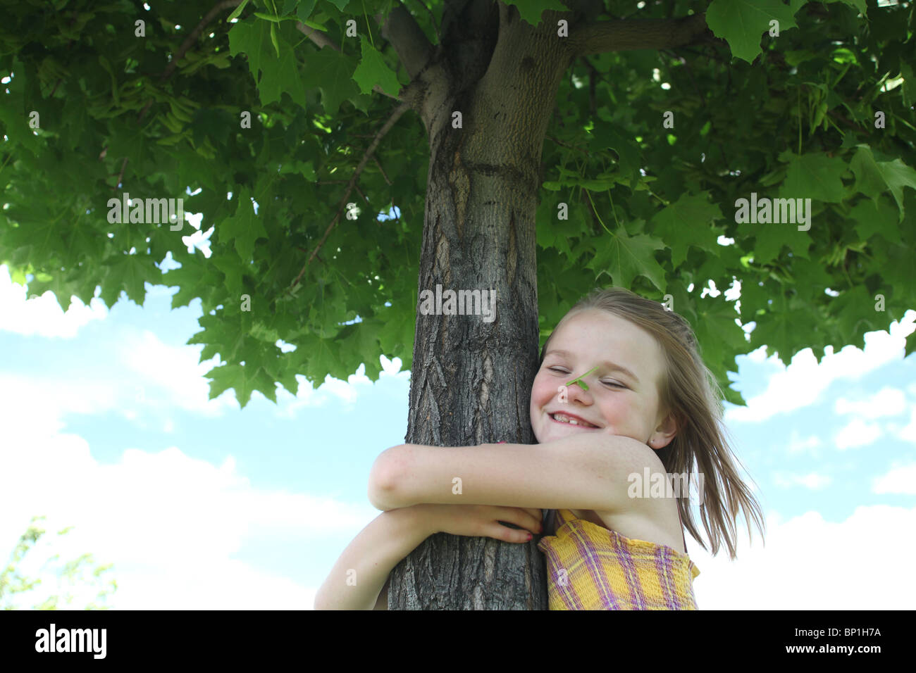 Chica abrazando árbol de arce Foto de stock