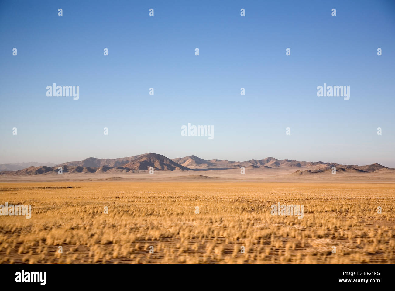 Namibia paisaje y vegetación Foto de stock