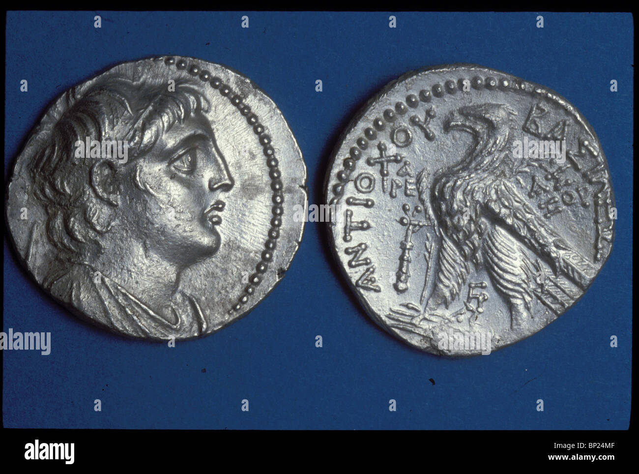 594. Moneda con el busto de Antiochus VII. Evergetes, neumáticos 135 - 136 BC. Foto de stock