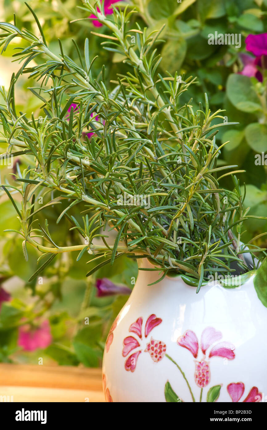 Close-up de las ramitas de romero en un florero sobre una mesa de jardín Foto de stock