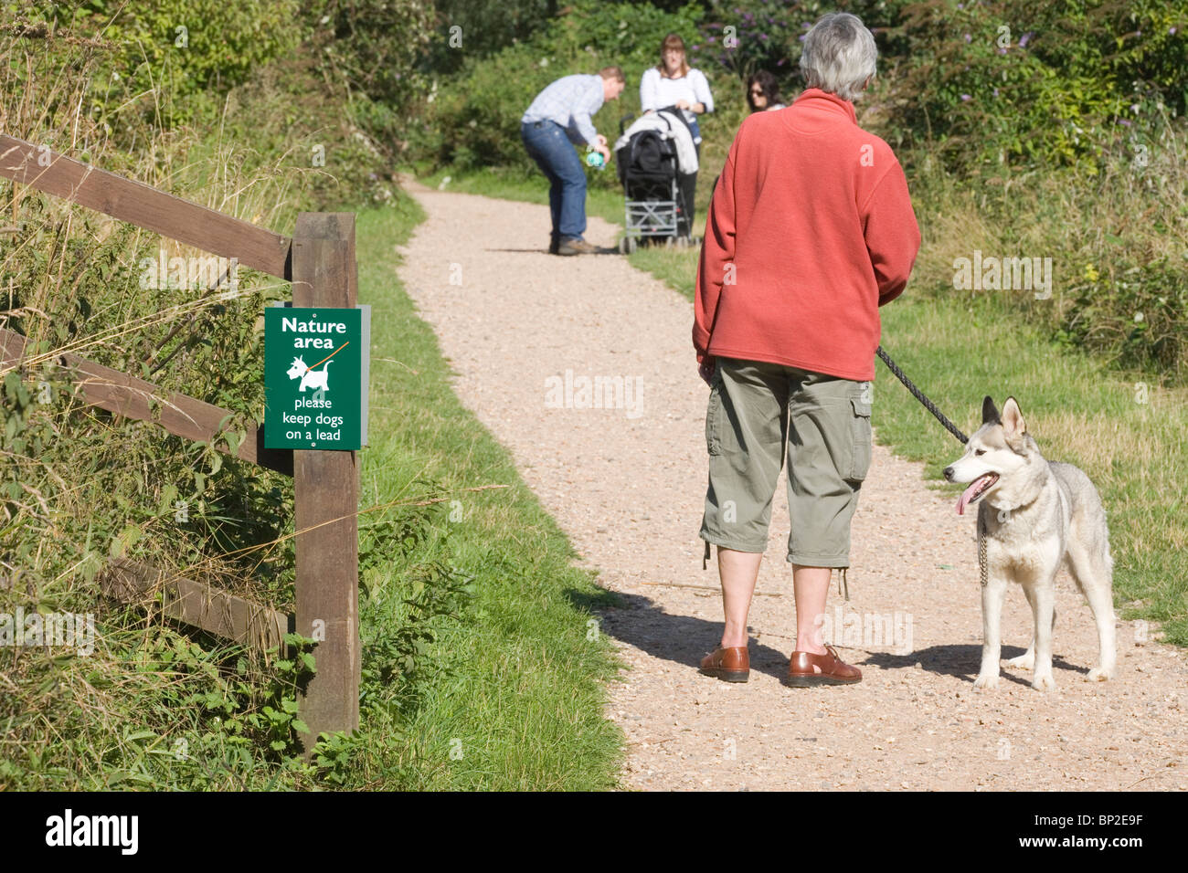 Firmar la designación de un espacio natural en el que los perros deben estar atados. Parque Whitlingham, Norwich, Norfolk, UK Foto de stock
