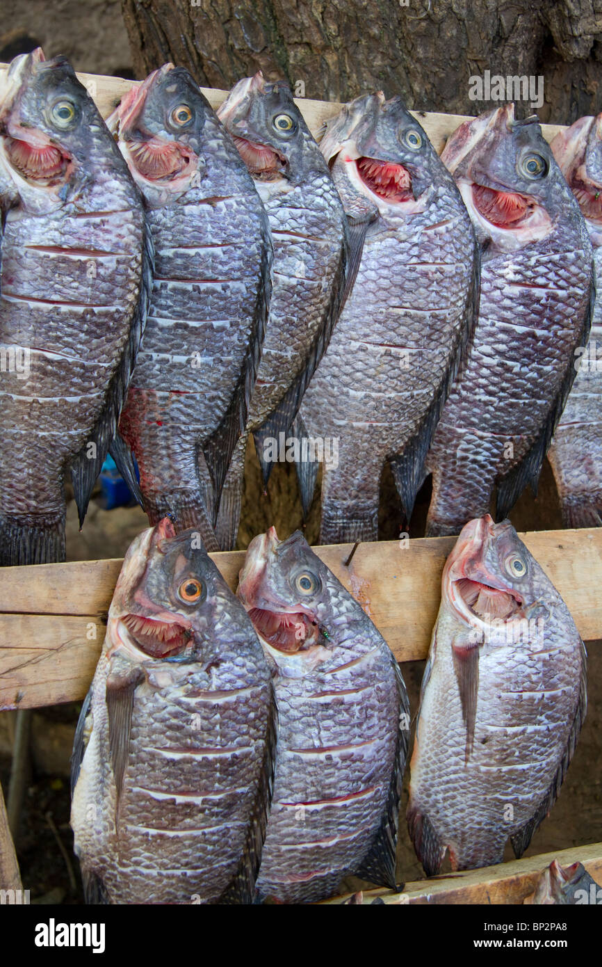La tilapia en un restaurante de pescado en el lago Victoria, Kisumu