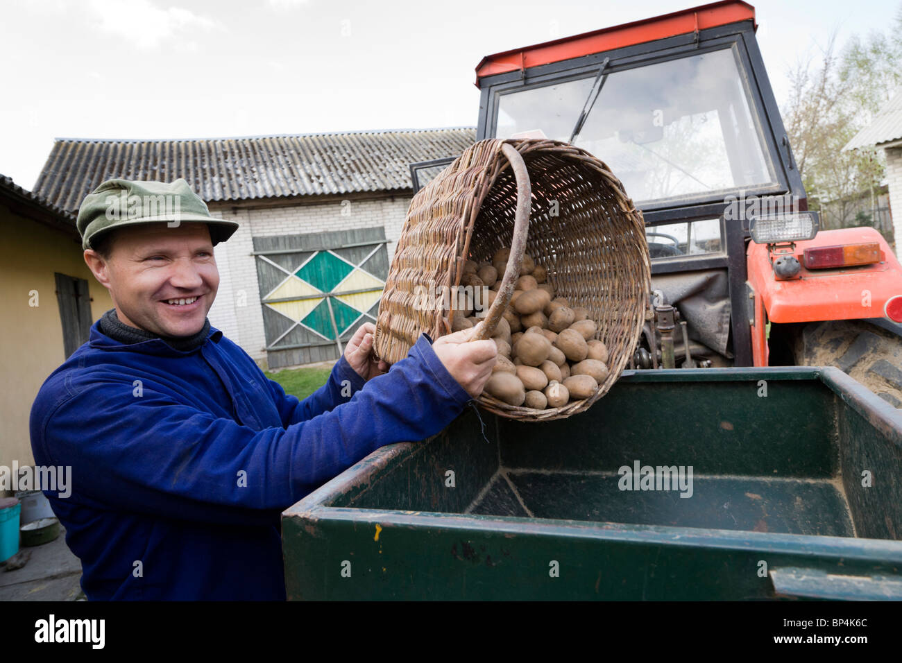 Agricultor con patatas listas para la siembra. Gmina Przylek Zwolen, condado, Polonia. Foto de stock