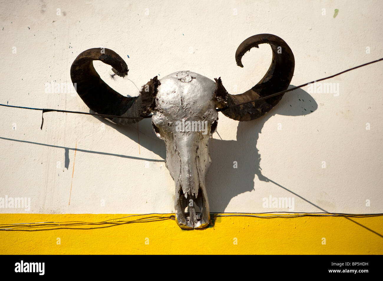 Cráneo decoración, Escuela de Danza Capoeira, Natal, Rio Grande do Norte, Brasil Foto de stock