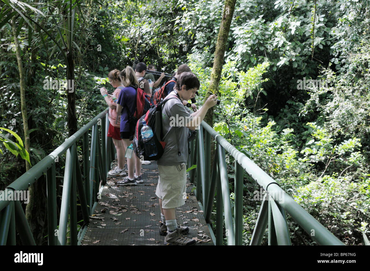 Estudiante ecoturistas en una caminata guiada por el bosque primario en la Estación Biológica La Selva, Costa Rica Foto de stock