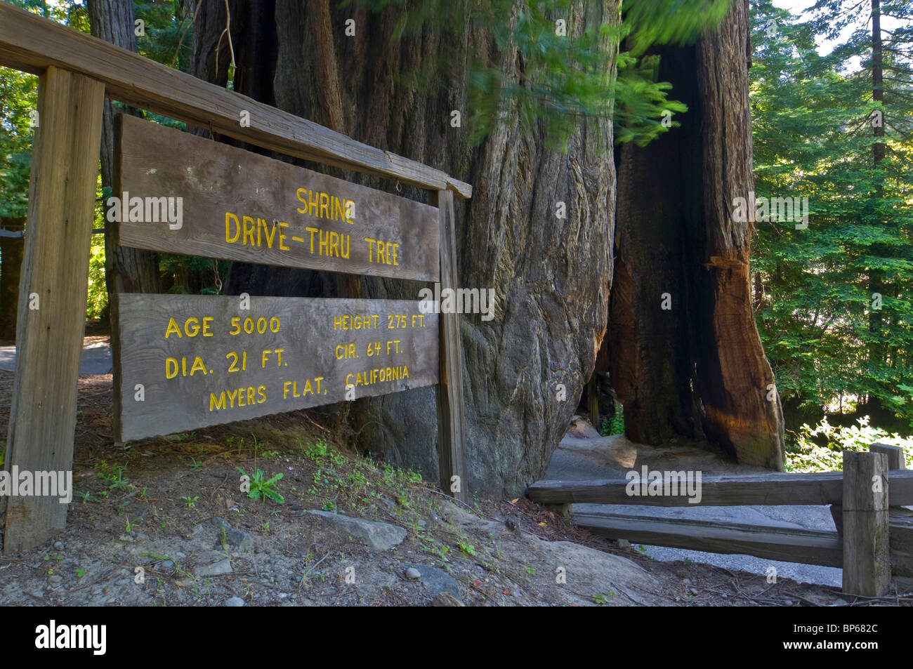 Santuario Drive Thru Secuoya atracción turística en la Avenida de los