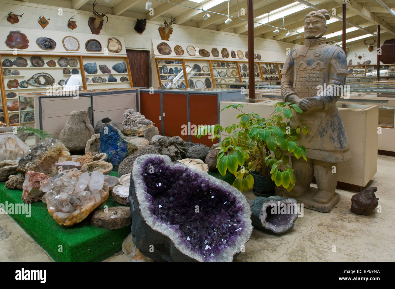 La amatista y otros especímenes de geología y de rock en la pantalla en Chapman's Gem & Mineral Shop & Museum Foto de stock