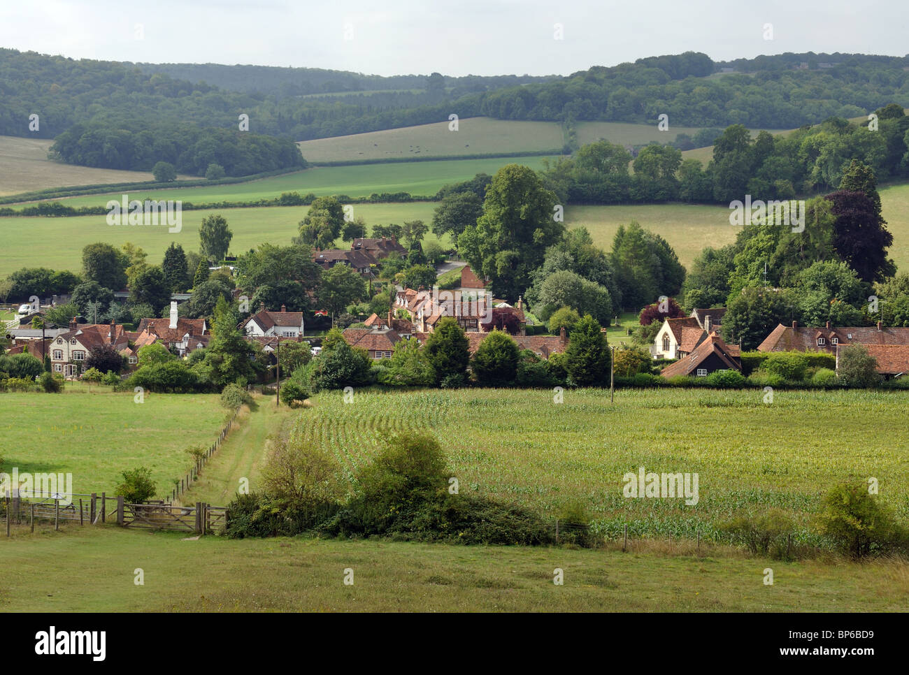 Turville village y paisaje Chiltern en verano, Buckinghamshire, Inglaterra, Reino Unido. Foto de stock