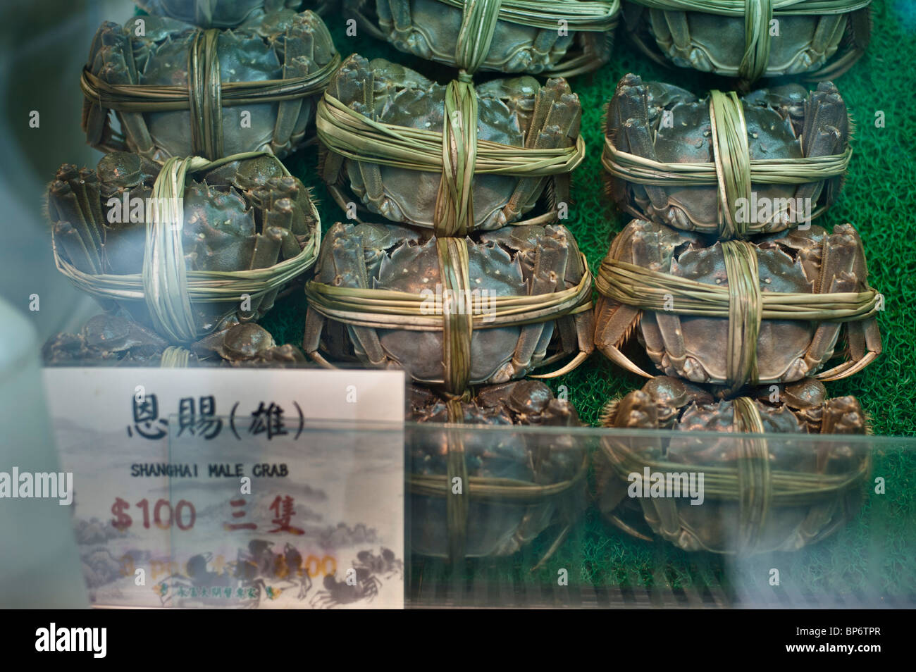 El cangrejo guante chino es un famoso manjar en Shanghai y Hong Kong cocina y es muy apreciado por las huevas de cangrejo hembra. Foto de stock