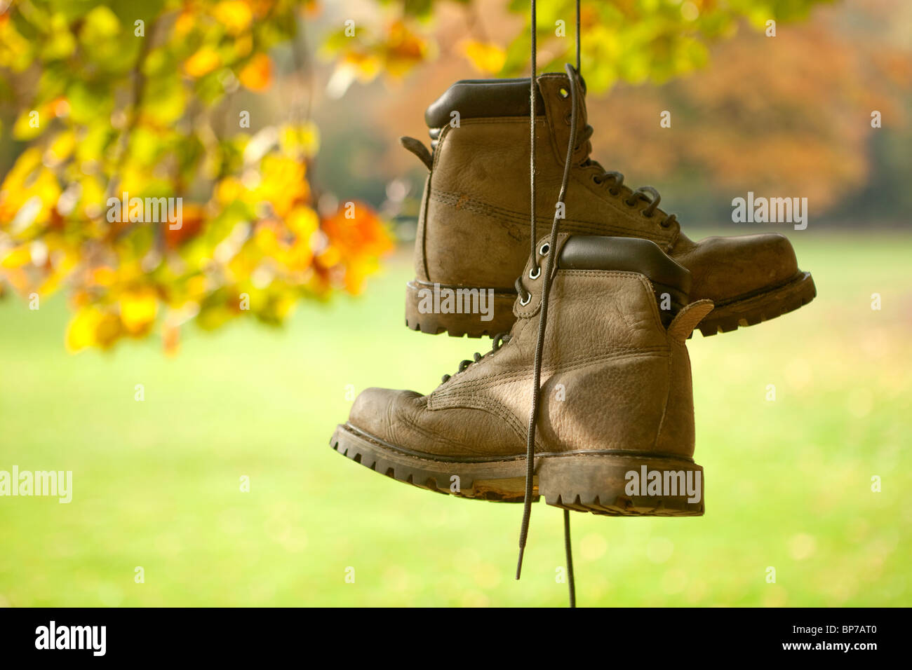 madre espada detergente Viejas botas desgastadas colgando de un árbol en un bosque de otoño  Fotografía de stock - Alamy