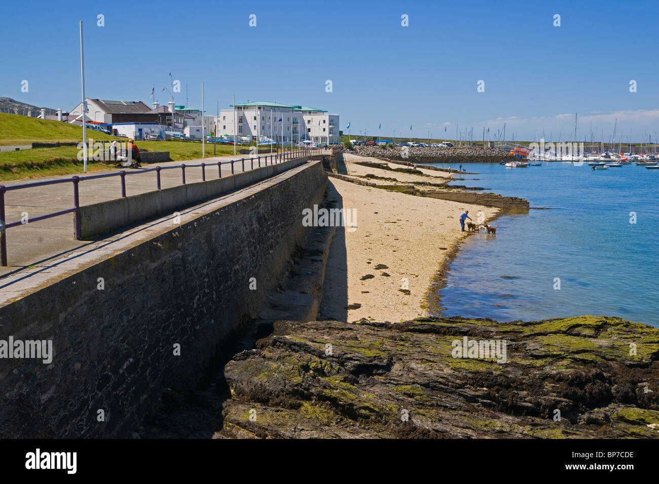 Holyhead puerto, paseo marítimo, Anglesey, Norte de Gales, Reino Unido Foto de stock