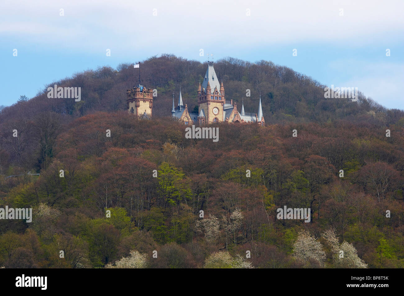 Primavera, Día, vista en Schloss (castillo Drachenburg), Siebengebirge, Rin, Renania- Westfalia, Alemania, Europa Foto de stock