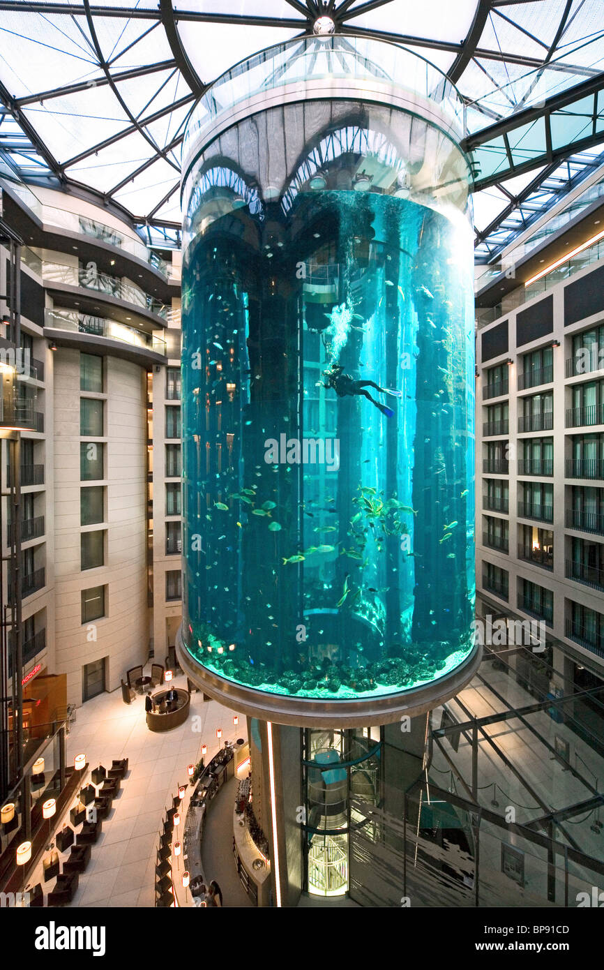 El hotel de 5 estrellas Radisson SAS Hotel alberga el acuario cilíndrico más grande del mundo. entrada de Aqua Dom, un buzo se limpia el depósito, Foto de stock