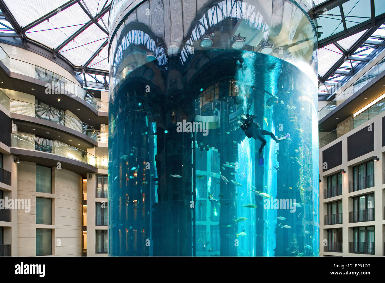 El hotel de 5 estrellas Radisson SAS Hotel alberga el acuario cilíndrico más grande del mundo. entrada de Aqua Dom, un buzo se limpia el depósito, Foto de stock