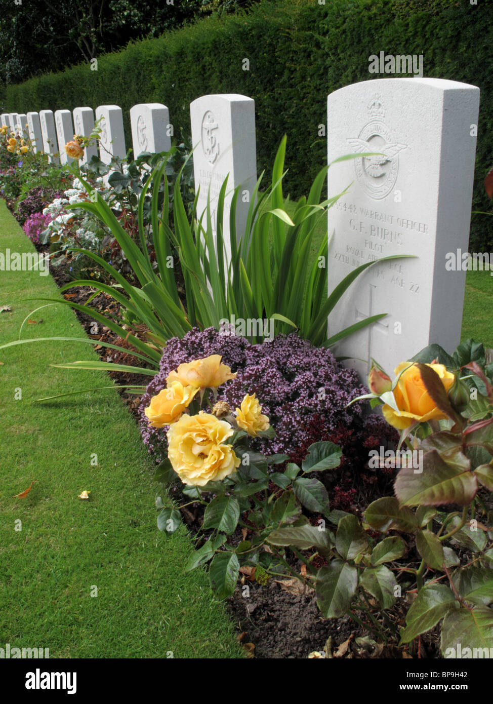Una hilera de lápidas de la marina y la RAF hombres que fueron asesinados durante la segunda guerra mundial. Foto de stock