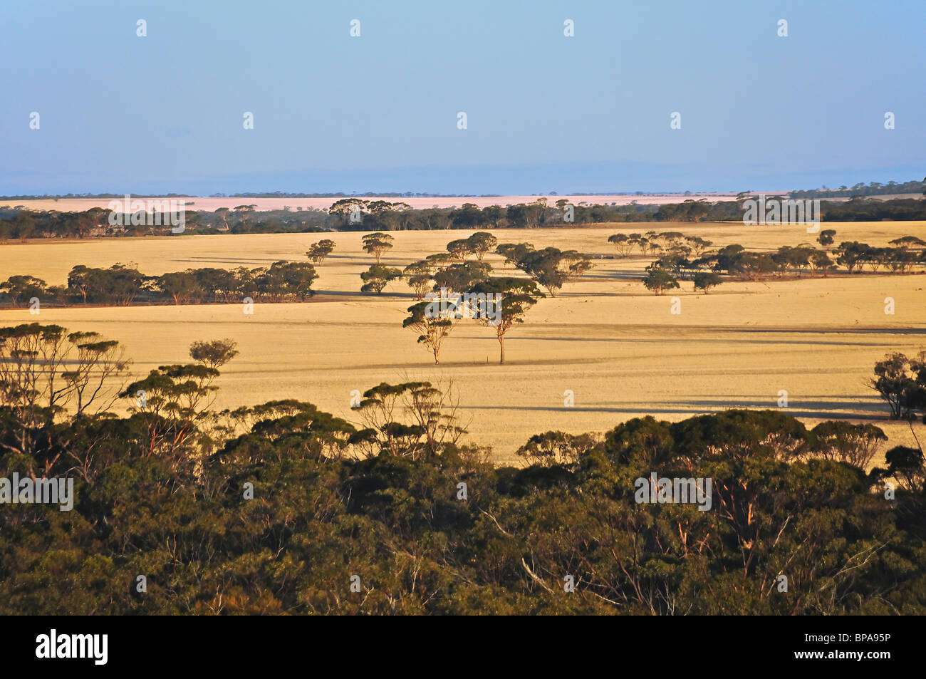 Puesta de sol sobre los pastizales cerca de Hyden en Australia Occidental Foto de stock