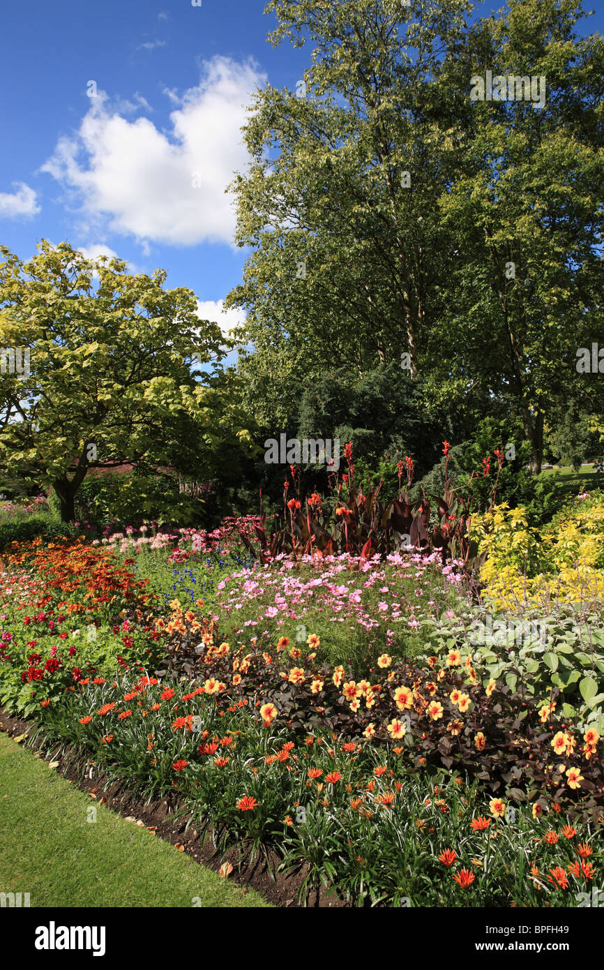 Borde floral en Jardines del Valle de Harrogate, North Yorkshire, Inglaterra, Reino Unido. Foto de stock