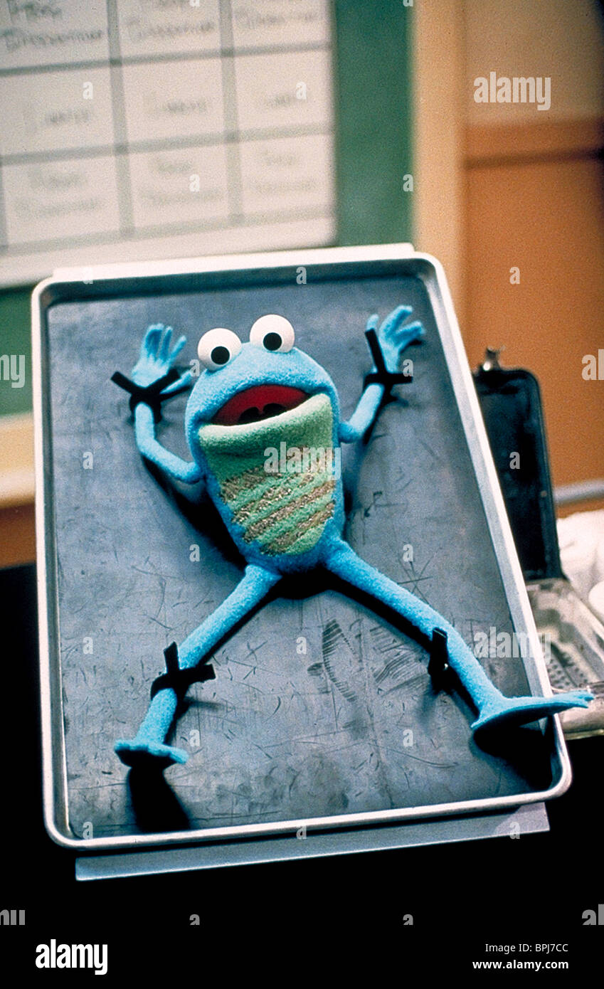 CROAKER KERMIT'S SWAMP Años La verdadera historia detrás de Kermit la