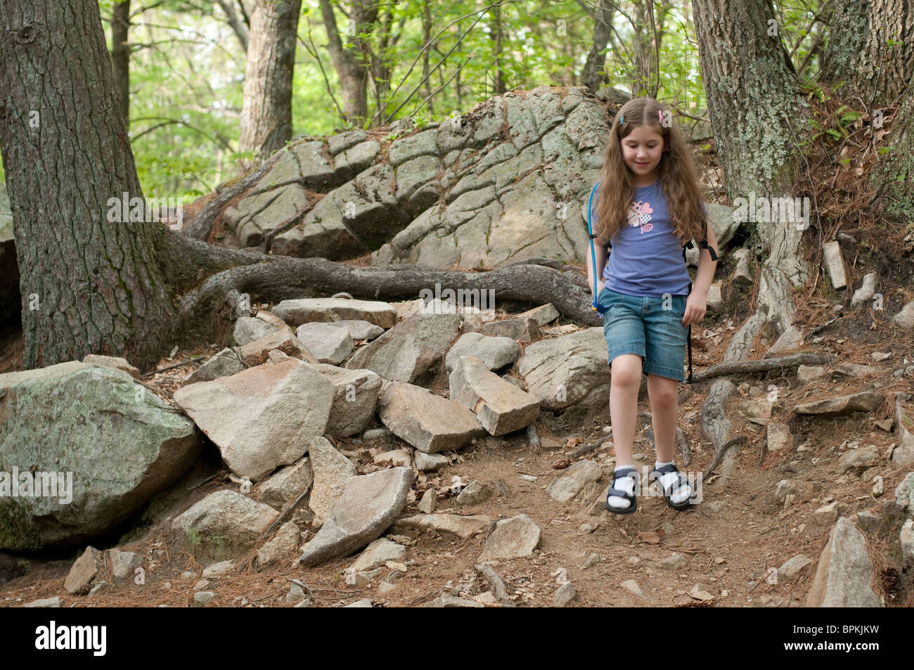 Los ocho años de edad, niña toma una caminata en el bosque Foto de stock