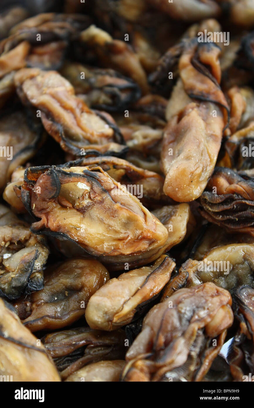 Mariscos ostras en seco Foto de stock