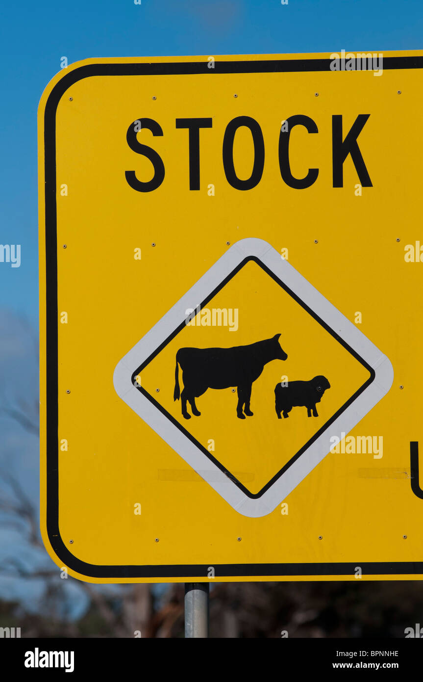 Stock cruzando señales de advertencia en la carretera de Australia Foto de stock