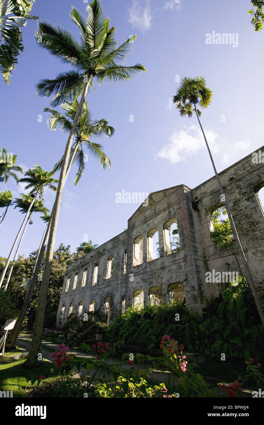 Ruinas de Farley Hill mansión en Parque Nacional Farley Hill, en la