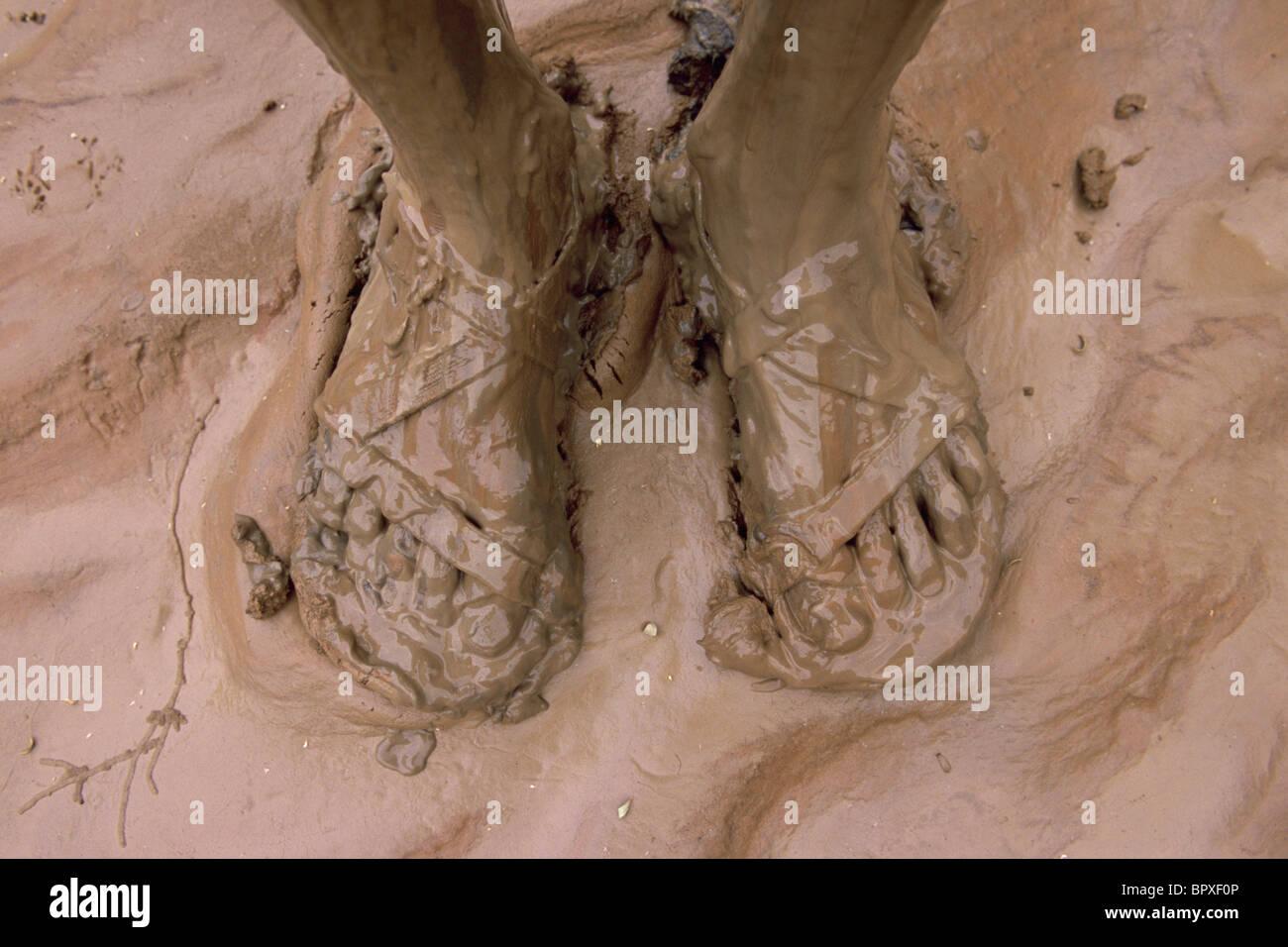 Pies de barro, Utah Fotografía de stock Alamy