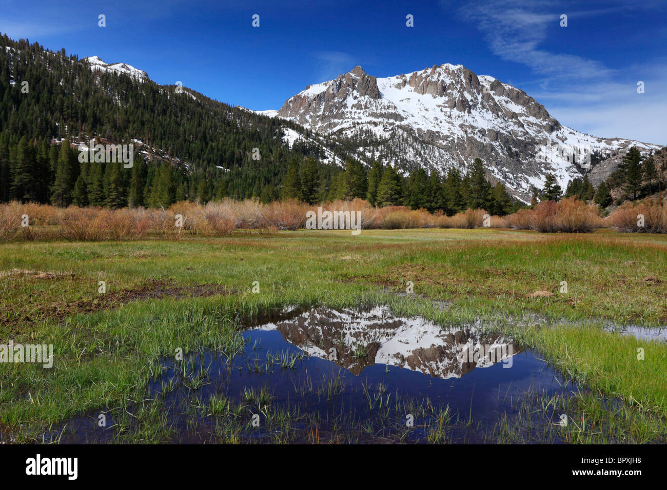 Primavera reflejo de Castle Peak en la parte oriental de Sierra Nevada de California Foto de stock