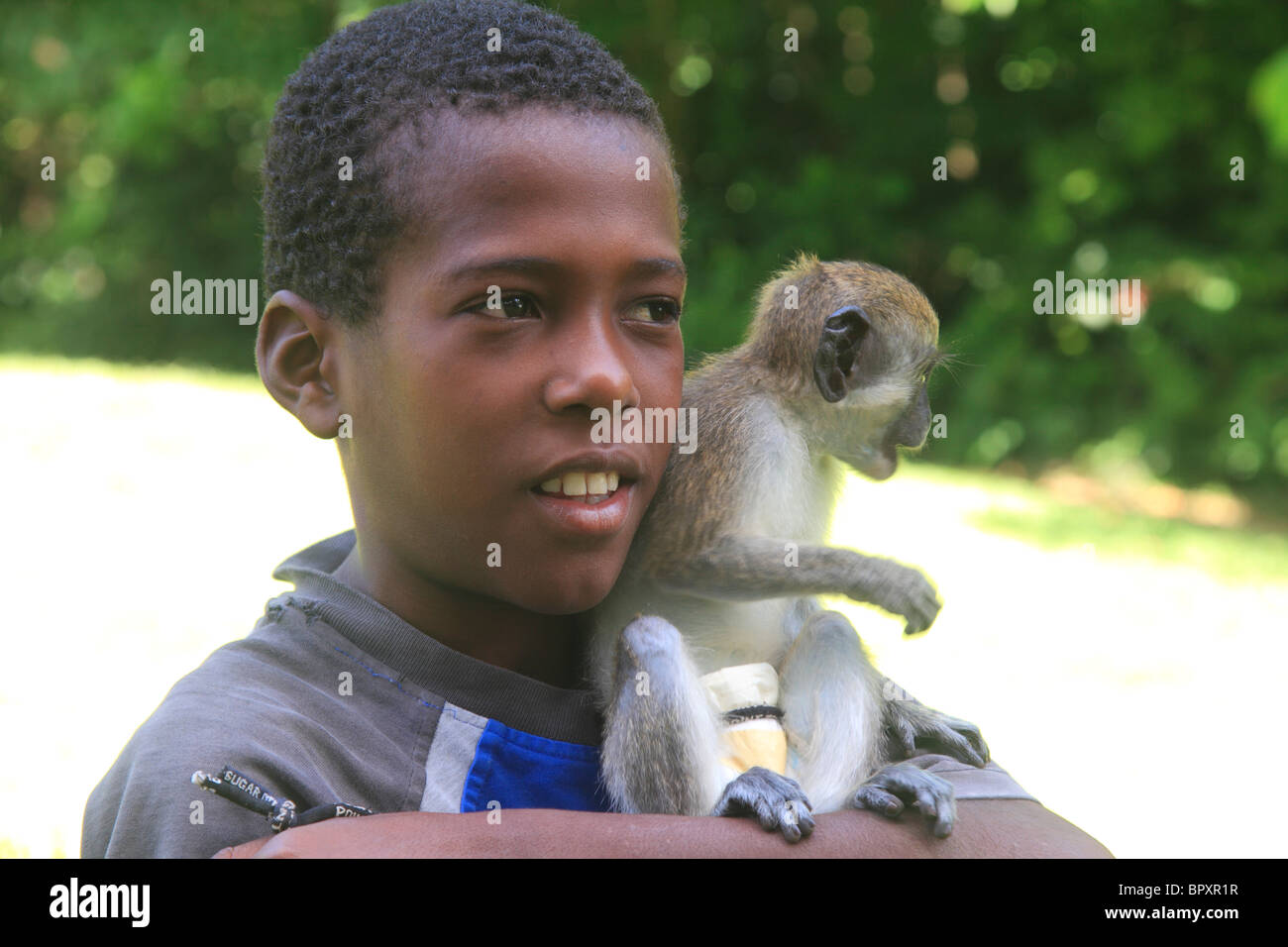 Joven con mascota mono en St.Kitts Caribe Foto de stock