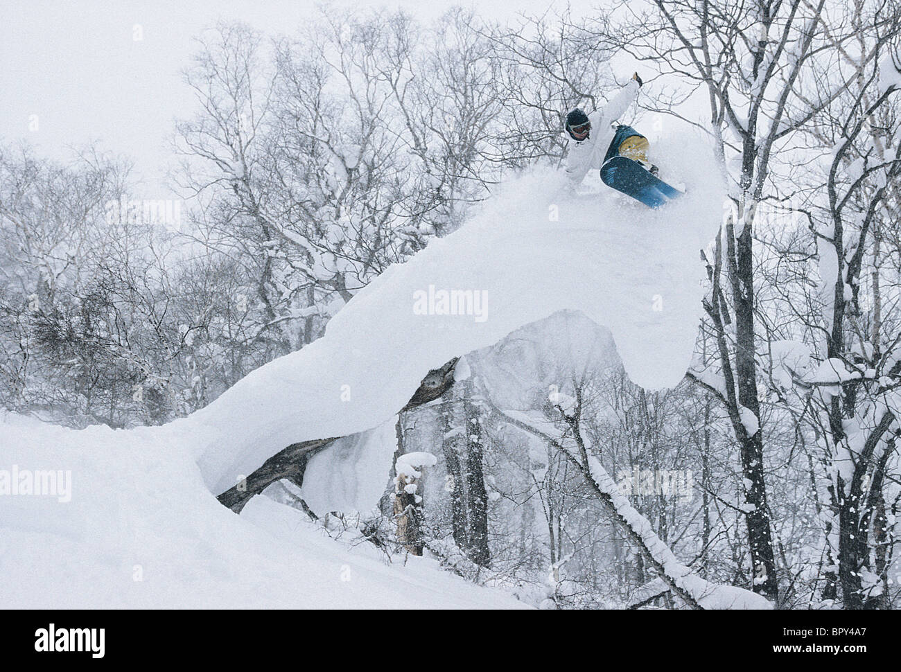 Snowboarder cabalgando sobre Tree Foto de stock