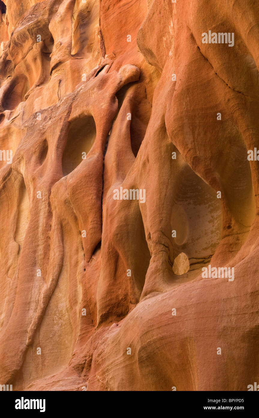 Hermosos colores rojos en un cañón en Petra, Patrimonio de la Humanidad por la UNESCO en Jordania Foto de stock