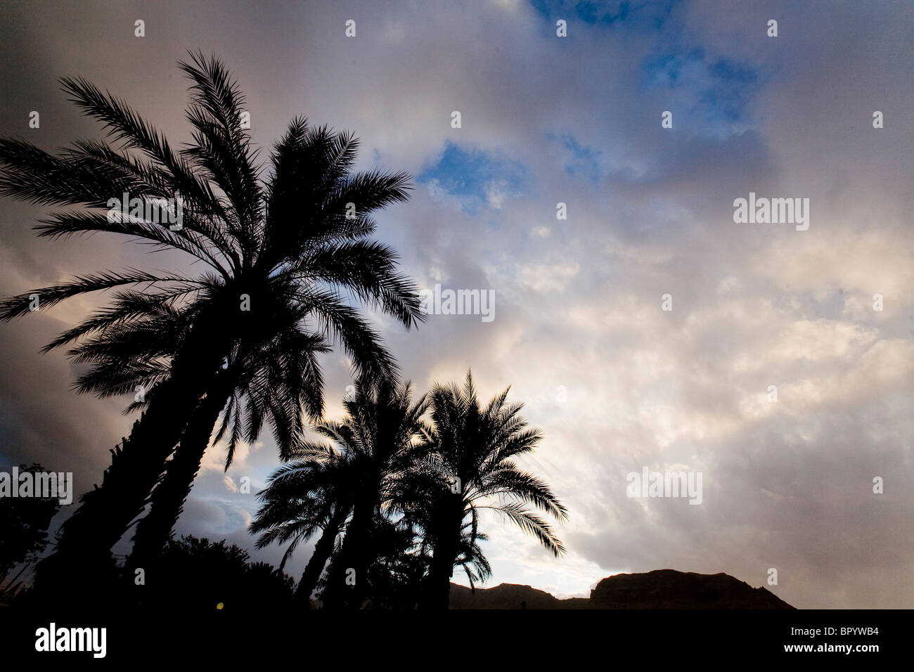 Fotografía de los cielos del atardecer sobre las palmeras en el desierto de Judea Foto de stock