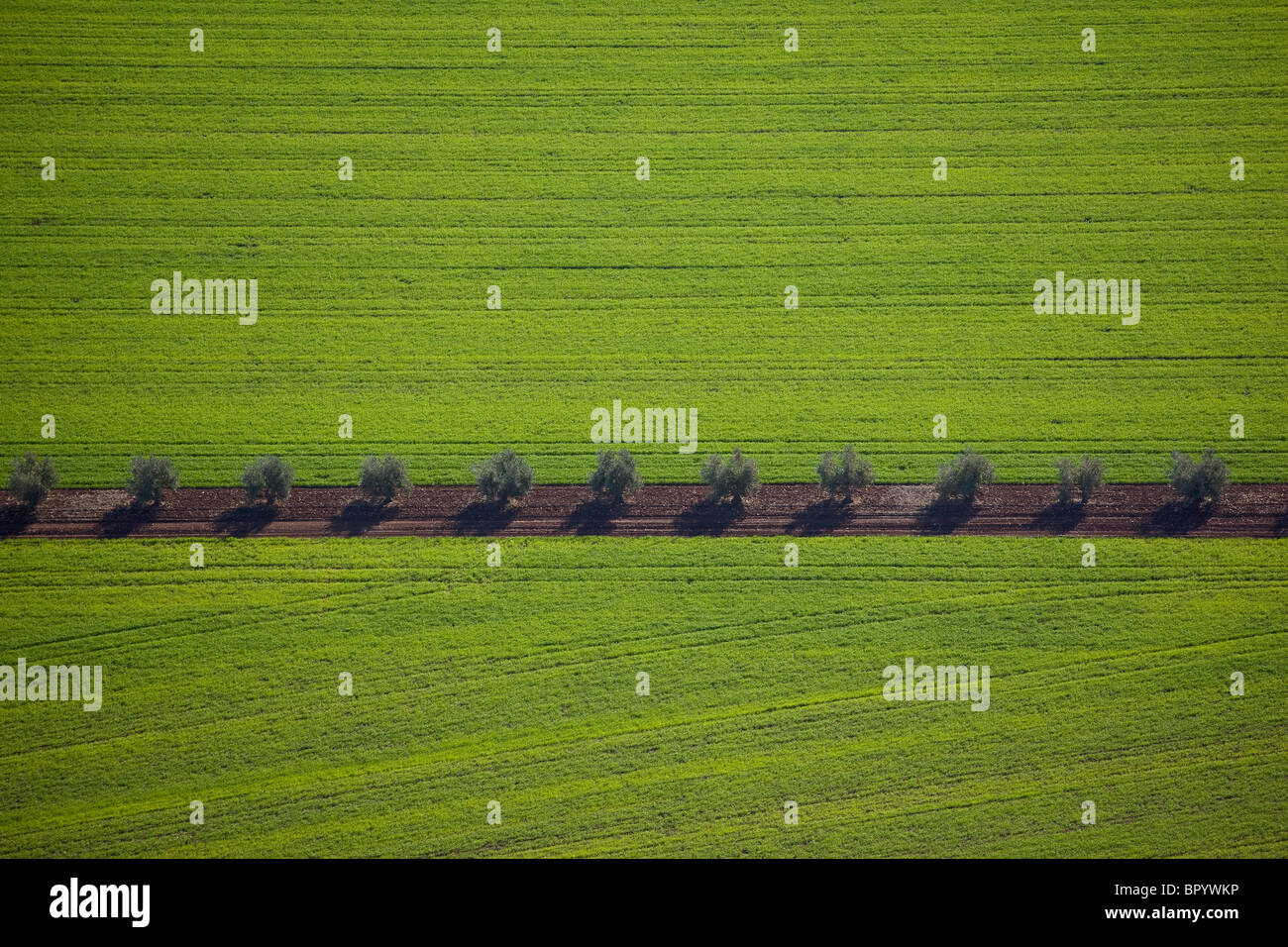 Fotografía aérea de los campos de agricultura de Galilea. Foto de stock