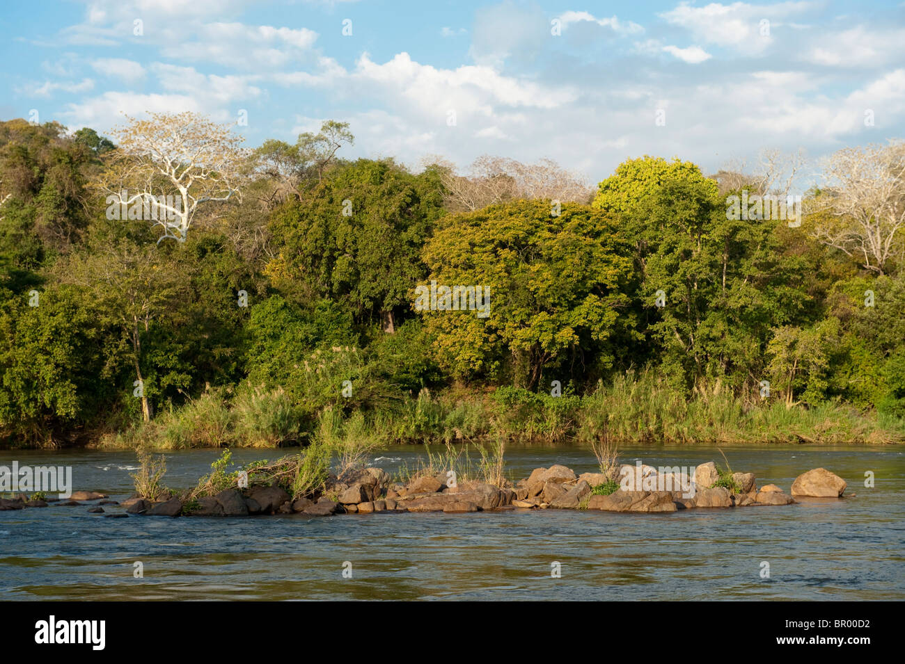 Río Shire, Majete Wildlife Reserve, Malawi Foto de stock