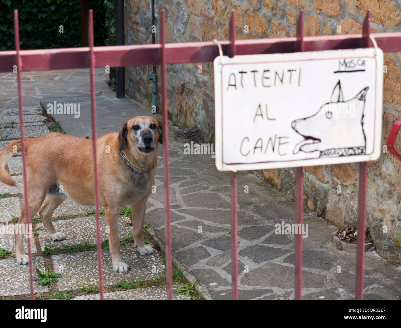 Un signo de advertencia sobre una puerta, la advertencia de un círculo de perro en idioma italiano, diciendo cuidado con el perro. Foto de stock