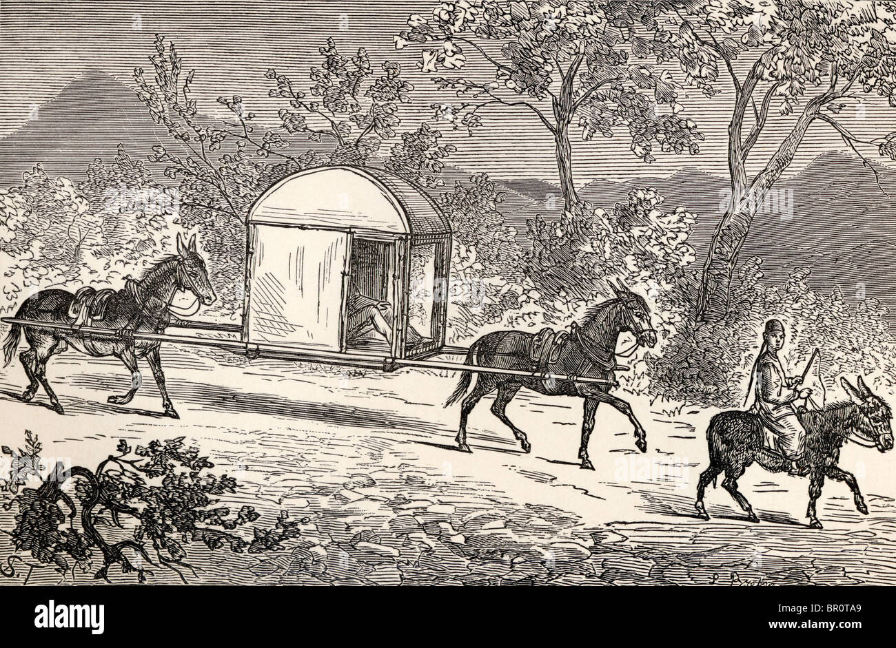 Un caballo y una mula palanquín utilizado por la aristocracia chino en China en el siglo XIX. Foto de stock